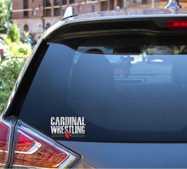 TVW Car Decal