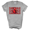 MLS Cardinals - Image 8