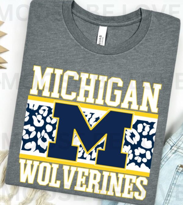 University of Michigan - Image 5