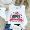 Frankenmuth Varsity Competitive Cheer - Image 3