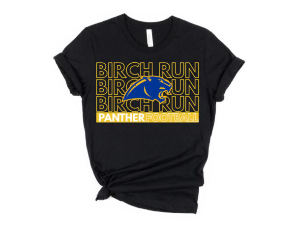 Panther Football Collection - Image 6