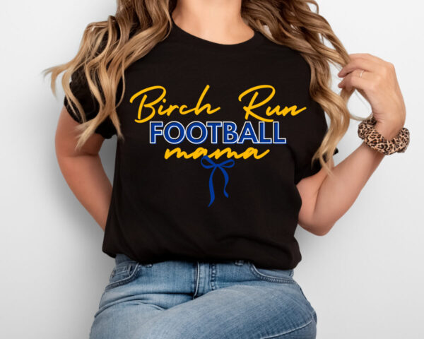 Panther Football Collection - Image 2