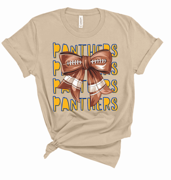 Panther Football Collection - Image 7